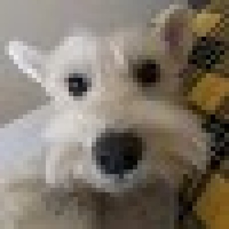 Ding Yu Sakura Github