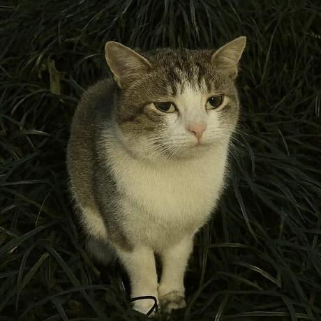 Arifulislamjihad Ariful Islam Github - Modern Ultra HD City Backgrounds | Free Download