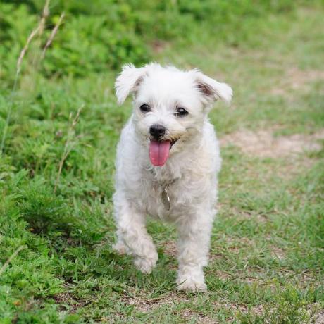 Github Changyeop Yang Study Database - Colorful Designs - Artistic Full HD Collection