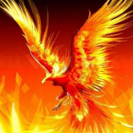 Github Chinmaylute2003 Experiment Sh - Download Professional Light Art | Retina