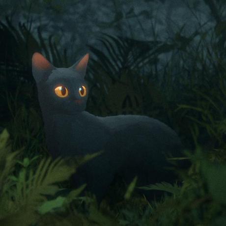 Nicxolefabbri Nicole Github - Best Mountain Pictures in High Resolution