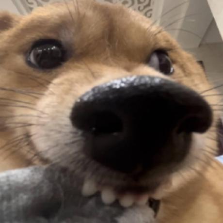 Salute Github Topics Github - Stunning High Resolution Gradient Illustrations | Free Download