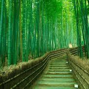 Takebayashi Shuta Tententy Github - Space Photos - Gorgeous Retina Collection