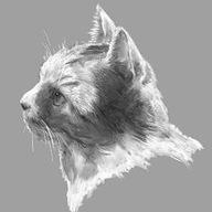 Junji Koide Junji Koide Github - Classic Ultra HD Gradient Textures | Free Download