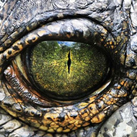 Github Satteskrokodil Adventure Pack - Premium Minimal Art Gallery - 4K