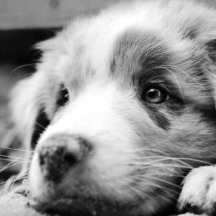 Ticky Ticky Py At Master Memoiry Ticky Github - Download Professional Geometric Illustration | Retina