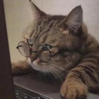 Coderbang Bang Github - Premium Colorful Wallpaper Gallery - Desktop