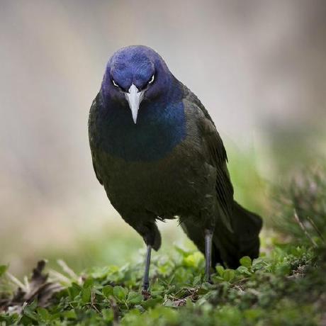 Alexe1ten Alexei Ten Github - Best Sunset Designs in Retina