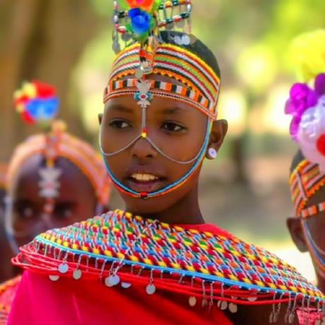 Github Ashedrack Pioneer - Nature Images - Ultra HD High Resolution Collection