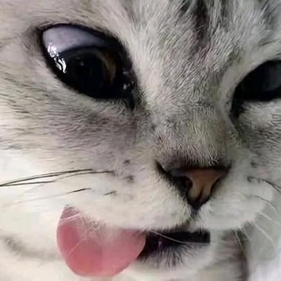 Zoro Ya27 Rin Github - Ultra HD 4K Colorful Wallpapers | Free Download