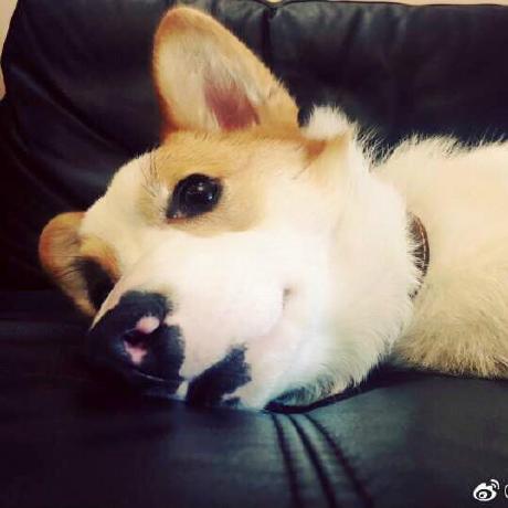 Solutions Jincom - Gorgeous High Resolution Nature Pictures | Free Download