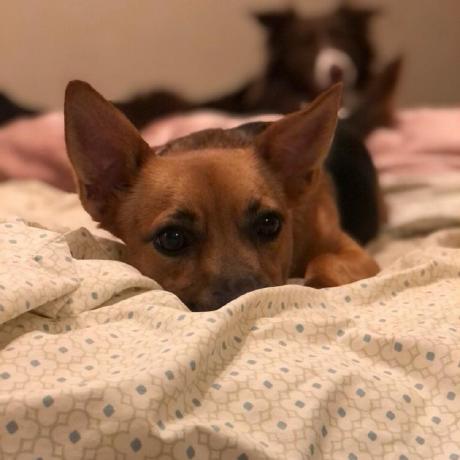 Blog Posts Malachi Phillips - Amazing Space Image - Ultra HD