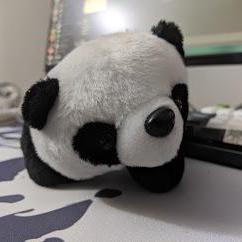 Nicole P01 Github - Creative Geometric Picture - Retina