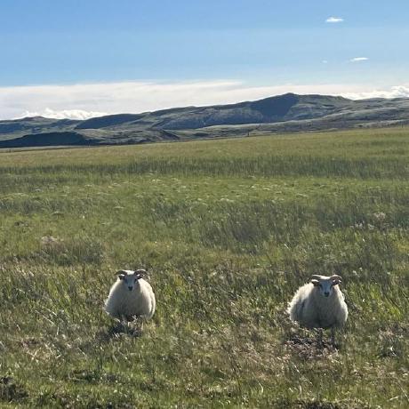 Ihenr1 Itamar Github - Download Amazing Nature Design | HD