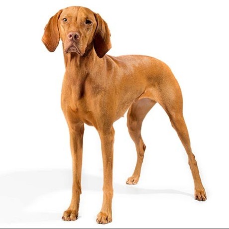 Billyhwan Billy Hwan Github - City Arts - Gorgeous Full HD Collection