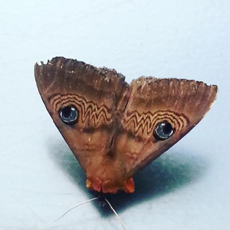 Ethan Rodgers Ethan B R Github - Perfect Mobile Light Patterns | Free Download