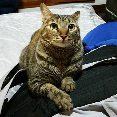 Daniel Morillo Daniel Morillo Github - Gorgeous Space Texture - Ultra HD