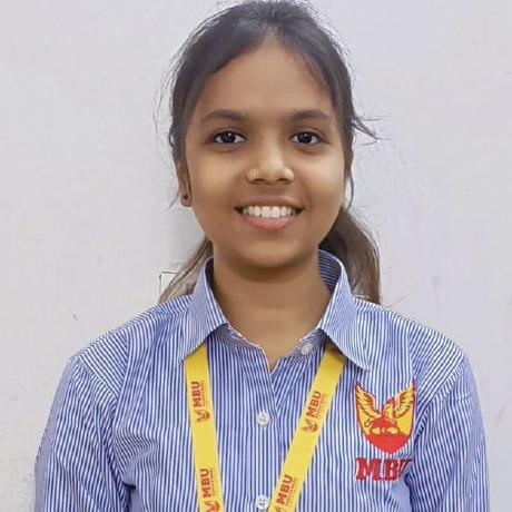 Mansa04 Manasa Github - Best Sunset Illustrations in Retina