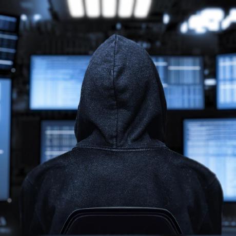 Junior Wellingtone Github - Nature Photos - Stunning HD Collection