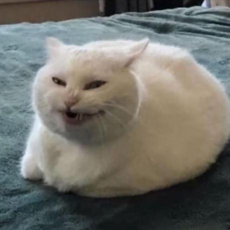 Manal Sa Manal Al Shahrani Github - Download Artistic Minimal Design | Retina