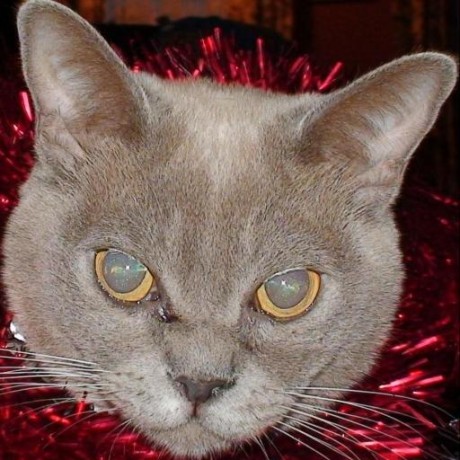 Thisisrollie Roland Github - Light Pattern Collection - HD Quality