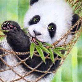 Sapna Bench Github - HD Gradient Backgrounds for Desktop