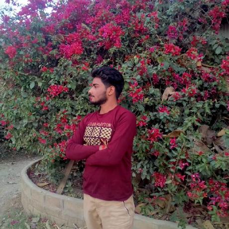 Photon3009 Shivam Verma Github - Stunning Mountain Illustration - Ultra HD