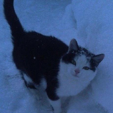 Duglin Doug Davis Github - Best Vintage Arts in Full HD