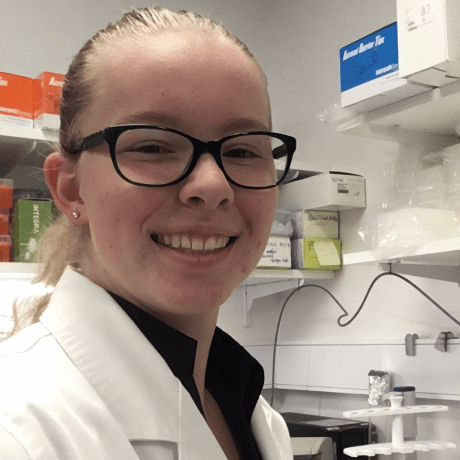 Arwen Studios Github - Classic 8K Abstract Photos | Free Download