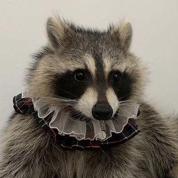 Alexareitano Alejandra Github - High Quality Landscape Texture - High Resolution