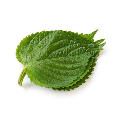 Github Gfarrisi Sesame - Classic Dark Picture - High Resolution