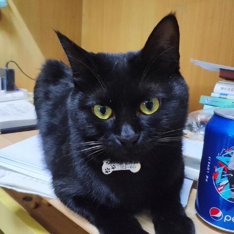 Lycosa9527 Wang Cunchi Github