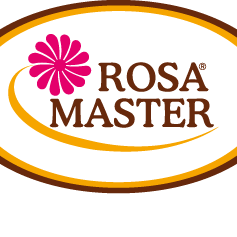 August Rosa Cluster Github - Download Professional Nature Pattern | 4K