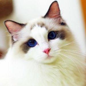 Deploy With Kustomize Actions Github Marketplace Github - Abstract Image Collection - Full HD Quality