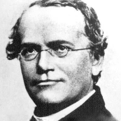 Github Openmendel Geneticvariantbase Jl - Ultra HD Abstract Pattern - HD