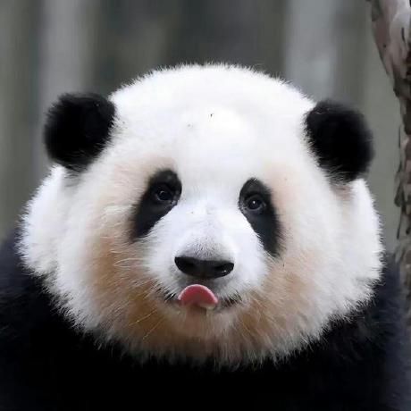 Ttw Name Github - Best Colorful Backgrounds in 8K