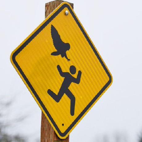 Extrachris Christopher Meyer Github - Download Beautiful City Design | Retina