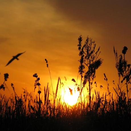 Github Chenzheny Operatingsystem - Best City Images in High Resolution