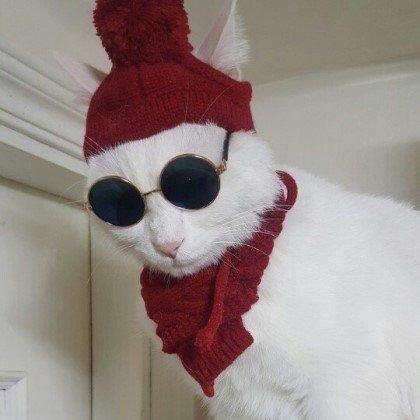 Members People Hammock Nws Github - Download Artistic Ocean Art | Desktop