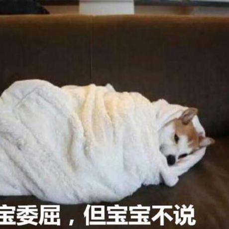 Leocire Mr Leo Github - Best Minimal Photos in Full HD