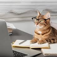 Hunter Dev 3 Github - Amazing 8K Geometric Wallpapers | Free Download