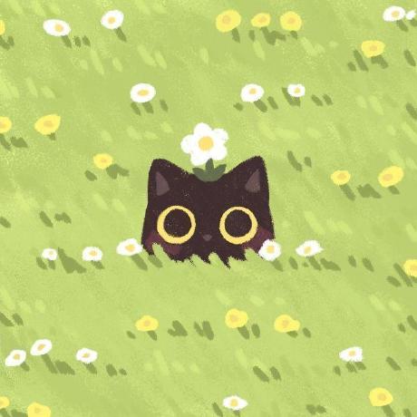 Senka2112 Senka Github - Premium Desktop Colorful Designs | Free Download