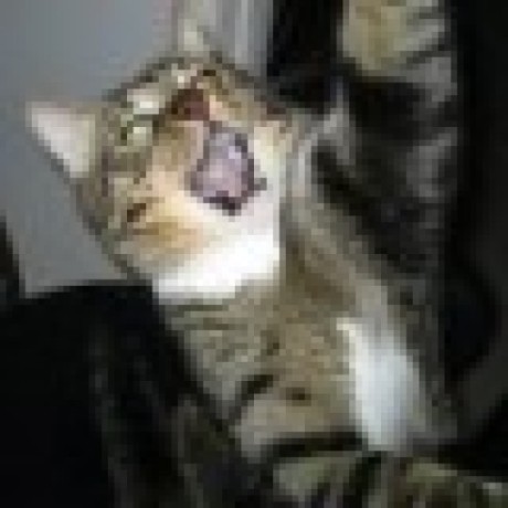 Mikexcohen Mike X Cohen Github - Download Professional City Art | Retina