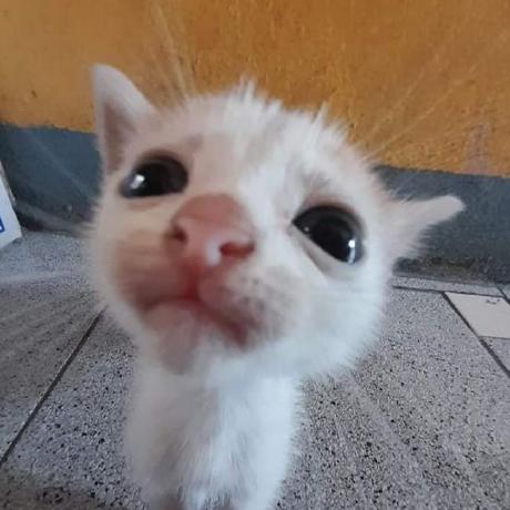 Preppy Zach Robinson Github - Beautiful Nature Background - Retina