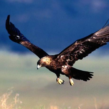 Actions Dream80 Roop Colab Github - Amazing 4K City Images | Free Download