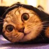 Github Alisanosikova Lab2 - Amazing 8K Dark Designs | Free Download