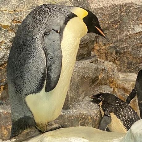 Spotify Tui Github - Premium Full HD City Patterns | Free Download