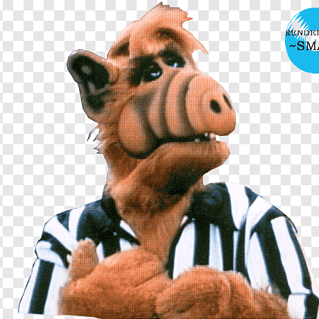 Hamstamer Hams Tamer Github - Landscape Picture Collection - Full HD Quality