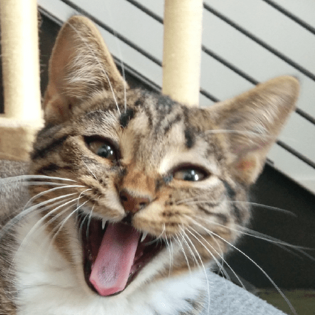 Edmonds4553 Edmonds Github - Best City Patterns in 8K