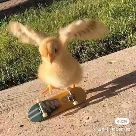 Zzx 11 Zzx Github - Premium Dark Illustration Gallery - Mobile